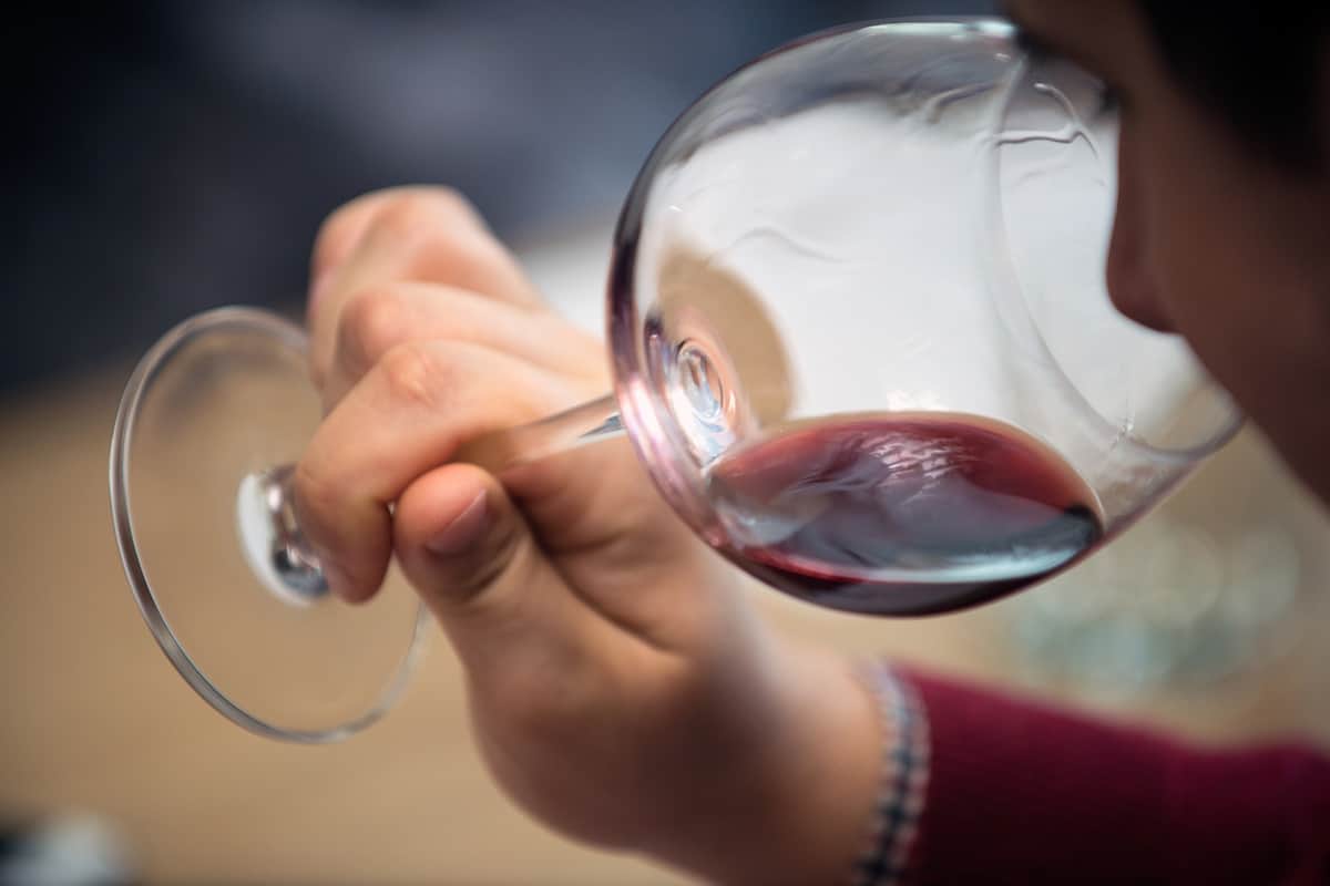Что будет если пить вино. Vino polza 07 Mainstyle. Что будет если пить вино фото. Что будет если пить вино-Vino polza 07 Mainstyle. картинка Что будет если пить вино. картинка Vino polza 07 Mainstyle.