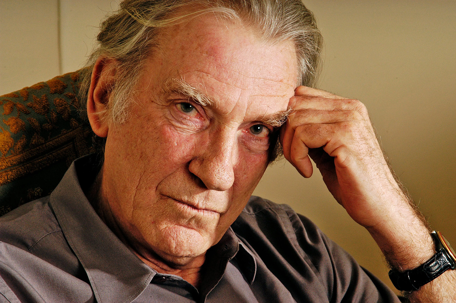 Дэвид уорнер. Дэвид уорнер. Дэвид хэттерсли уорнер. Дэвид уорнер актер. Дэвид уорнер.